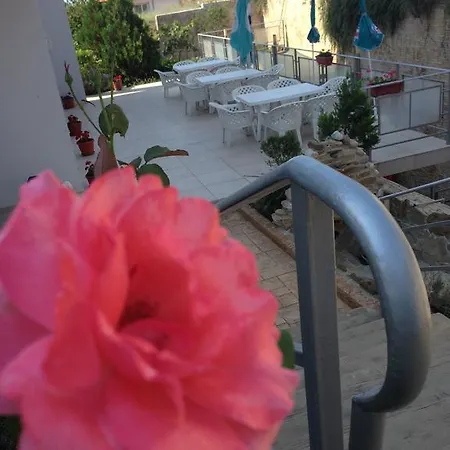Kotva 3 Sveti Vlas